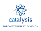 Catalysis-Logo160x120